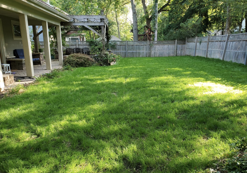 After: newly installed healthy lawn